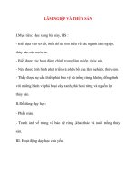 Giáo án lớp 5 môn Địa Lý: LÂM NGIỆP VÀ THỦY SẢN docx