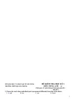 ĐỀ KIỂM TRA HỌC KỲ 1 MÔN: TIẾNG ANH 12 - ĐỀ SỐ 5 pptx