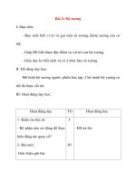 Giáo án lớp 2 môn Tự Nhiên Xã Hội: Bài 2: Bộ xương ppsx