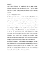 Nguyên vật liệu tổng hợp và nghiệp vụ hạch tóan tổng hợp pps