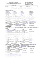 ĐỀ KIỂM TRA 1 TIẾT Môn: TIẾNG ANH 12 - MÃ ĐỀ 123 pot