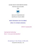 PHÂN TÍCH BÁO CÁO TÀI CHÍNH  CÔNG TY CỔ PHẦN GÒ ĐÀNG