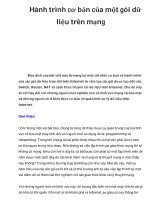 Hành trình cơ bản của một gói dữ liệu trên mạng pot