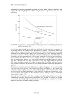 Engineering Tribology Episode 2 Part 8 docx
