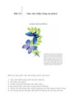 Adobe Illustrator CS2 - Bài 11 docx