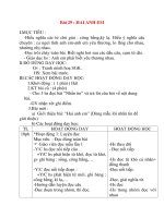 Giáo án lớp 2 môn Tập Đọc: Bài 29 : HAI ANH EM potx