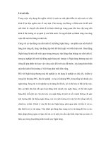 Tác hại của rủi ro trong hoạt động kinh doanh tín dụng tại các ngân hàng cổ phần pdf