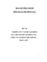 Đề tài nghiên cứu vấn đề tạo động lực cho người lao động tại công ty cổ phần thế giới số trần anh   luận văn, đồ án, đề tài tốt nghiệp