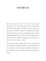 NÃO MÔ CẦU pdf