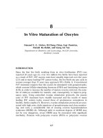 In Vitro Maturation of Oocytes doc