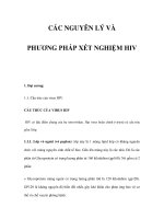 CÁC NGUYÊN LÝ VÀ PHƯƠNG PHÁP XÉT NGHIỆM HIV pptx