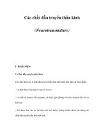 Các chất dẫn truyền thần kinh (Neurotransmitters) ppsx