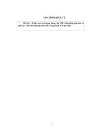 Phân tích xu hướng dòng vốn FDI, biện pháp thu hút và quản lý vốn FDI để phát triển bền vững kinh tế Việt Nam
