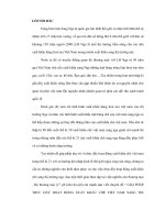 Quan hệ hữu nghị việt anm và tiềm năng xuất khẩu các sản phẩm chè sang nước có khí hậu lạnh pps