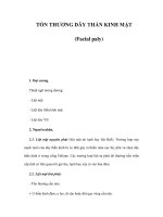 TỔN THƯƠNG DÂY THẦN KINH MẶT (Facial paly) pdf