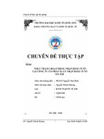 Thực trạng hoạt động nhập khẩu ô tô tại công ty cổ phần xuất nhập khẩu ô tô Hà Nội