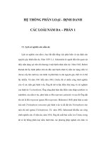 HỆ THỐNG PHÂN LOẠI - ĐỊNH DANH CÁC LOÀI NẤM DA – PHẦN 1 pptx