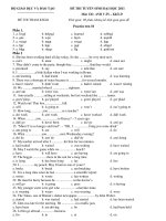 ĐỀ THI TUYỂN SINH ĐẠI HỌC 2011 Môn Thi: ANH VĂN – Khối D ppt