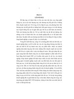 Thực trang, phương hướng và giải pháp cho ERP và phát triển Trần Anh