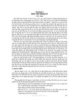 GIÁO TRÌNH QUỸ GEN VÀ BẢO TỒN QUỸ GEN ( PGS.TS VŨ VĂN LIẾT ) - Chương 4 pot