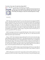 Tìm hiểu về Giao thức Cấu hình Host Động DHCP pot