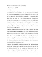 Thị trường xuất khẩu cho các sản phẩm công nghiệp thô, chưa qua chế biên tại Việt Nam pps