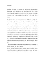 Vốn đầu tư nước ngoài vào các doanh nghiệp và việc quản lý pháp luật doc