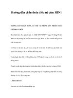 Hướng dẫn chẩn đoán điều trị cúm H5N1 pps