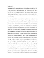 Phân tích hiệu quả kinh doanh qua doanh thu và tính tóan chi phí khi tính doanh thu pot