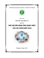Mức độ sẵn sàng ứng dụng thương mại điện tử của các doanh nghiệp Việt Nam năm 2010