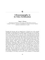 Ultrasonography in In Vitro FertilizationRoger A. PiersonDepartment of Obstetrics, Gynecology pptx