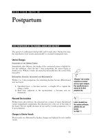 HIGH-YIELD FACTS IN - Postpartum ppt