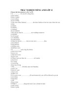 TRẮC NGHIỆM TIẾNG ANH LỚP 12 pptx