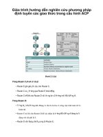 Giáo trình hướng dẫn nghiên cứu phương pháp định tuyến các giao thức trong cấu hình ACP p1 pdf