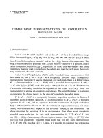 Báo cáo toán học: 