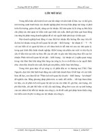 báo cáo thực tập môn học tại công ty cổ phần đầu tư amp; thương mại tng thái nguyên - khoa kế toán- trường đại học kinh tế và quản trị kinh doanh thái nguyên