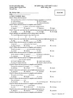 ĐỀ KIỂM TRA 1 TIẾT KHỐ 11-Lần 2 MÔN :Tiếng Anh - Mã đề 003 doc