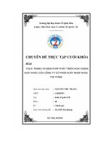 Thực trạng và biện pháp phát triển hoạt động xuất khẩu của công ty cổ phần xuất nhập khẩu tạp phẩm