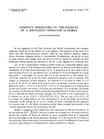 Báo cáo toán học: 