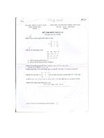 Đề thi tự luận toán C2 pot