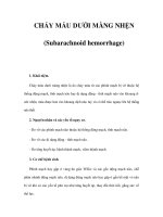 CHẢY MÁU DƯỚI MÀNG NHỆN (Subarachnoid hemorrhage) pot