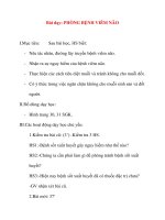 Giáo án lớp 5 môn Khoa Học: Bài dạy: PHÒNG BỆNH VIÊM NÃO pdf