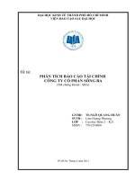 PHÂN TÍCH BÁO CÁO TÀI CHÍNH  CÔNG TY CỔ PHẦN SÔNG BA