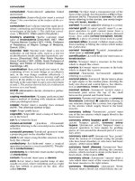 DICTIONARY OF NURSING Part 3 ppsx