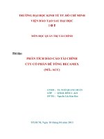 PHÂN TÍCH BÁO CÁO TÀI CHÍNH CTY CỔ PHẦN BÊ TÔNG BECAMEX