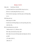 Giáo án lớp 5 môn Khoa Học: Bài dạy: CAO SU potx