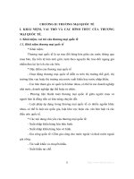 Kinh tế quốc tế - Chương 2 ppsx