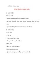 Giáo án lớp 5 môn Mỹ Thuật: BÀI 12: Vẽ theo mẫu MẪU VẼ CÓ HAI VẬT MẪU ppsx