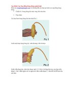 Tạo Hình Con Ong Bằng Bong Bóng doc