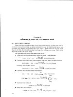 Giáo trình -Công nghệ tổng hợp hữu cơ hóa dầu - chương 10 ppsx